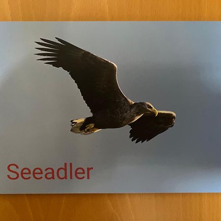 Kapitaenshaus Scharmberg, Ferienwohnung Seeadler ボルン エクステリア 写真